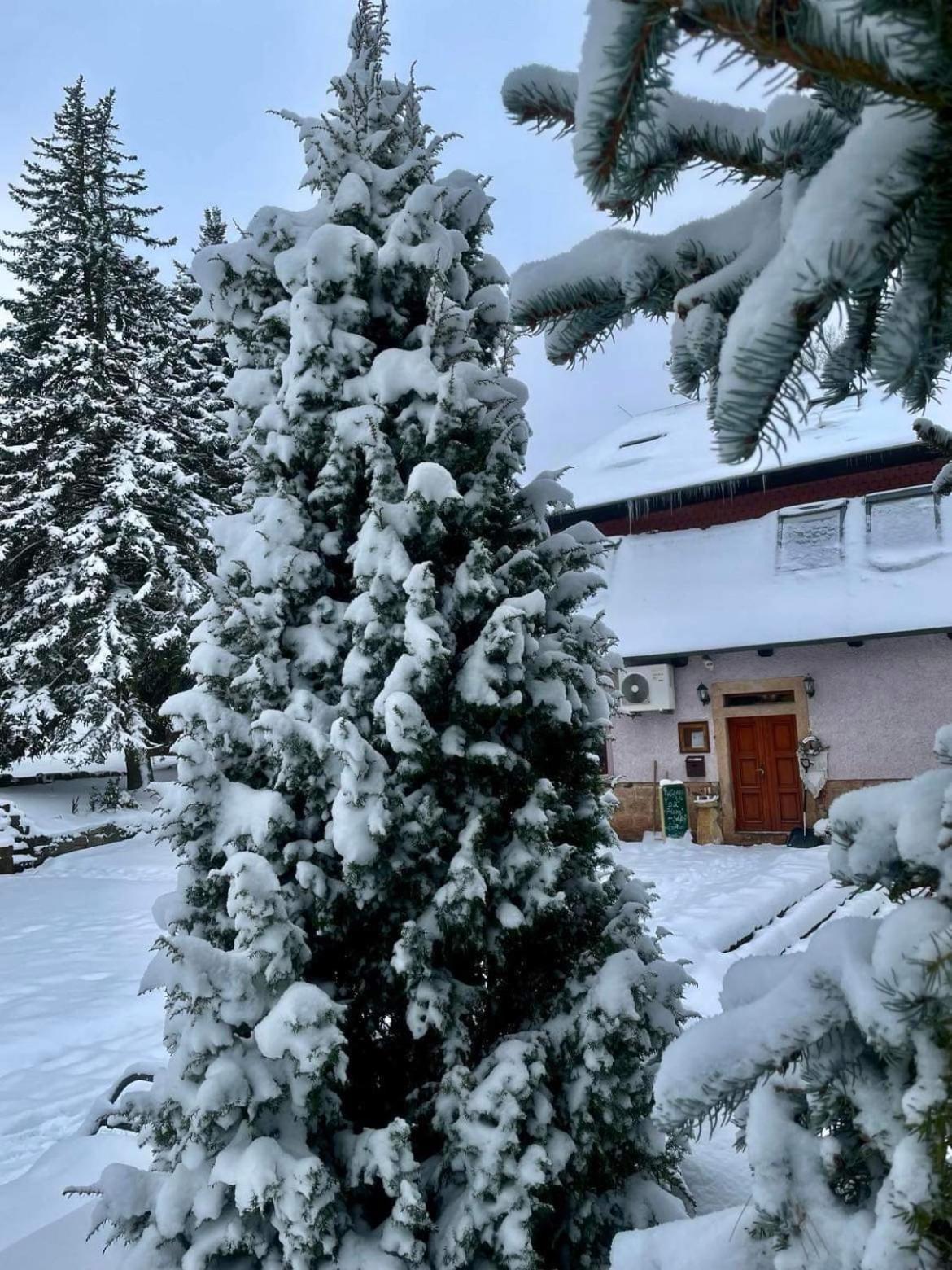 Penzion Tadeasovy Domky Hajnice Bagian luar foto